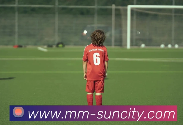 澳门太阳城平台生态图